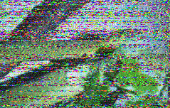 Image 1 from VOA Radiogram on 15670 kHz